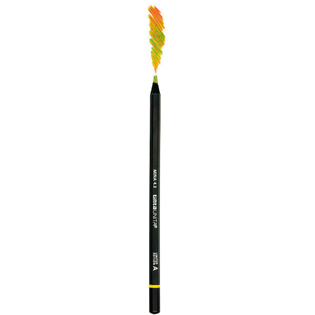 Pastelli Tinta Unita Multicolor Mina 4.2 singoli