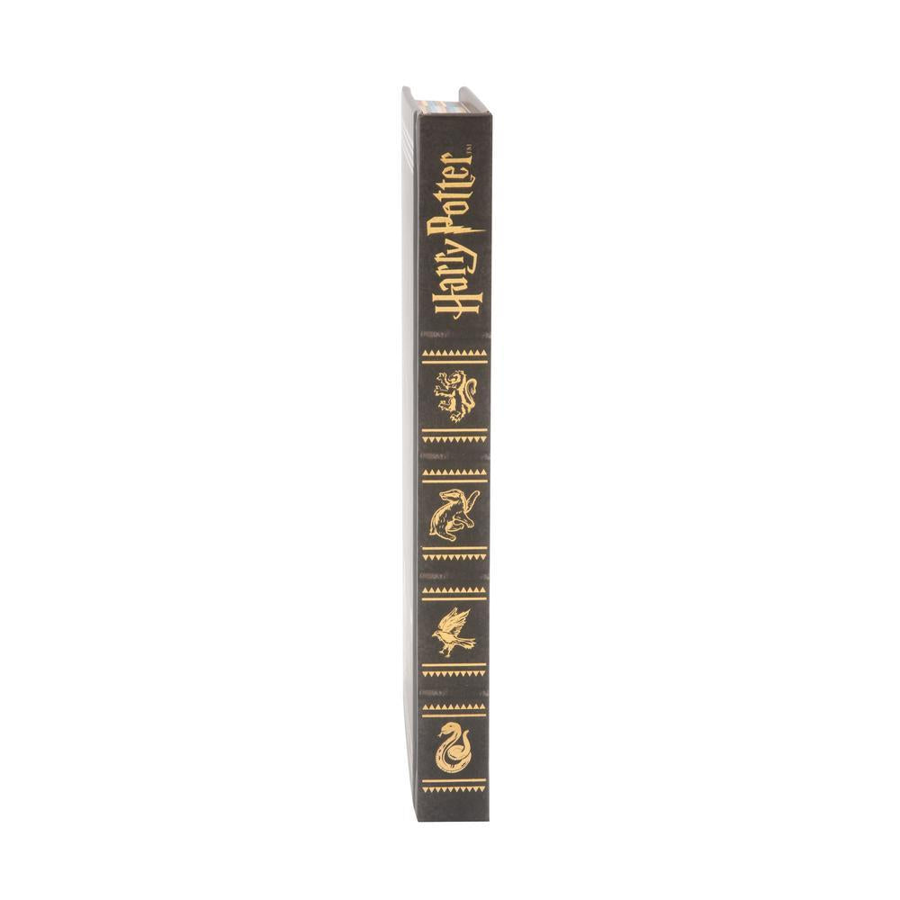 Diario Harry Potter - 10 mesi