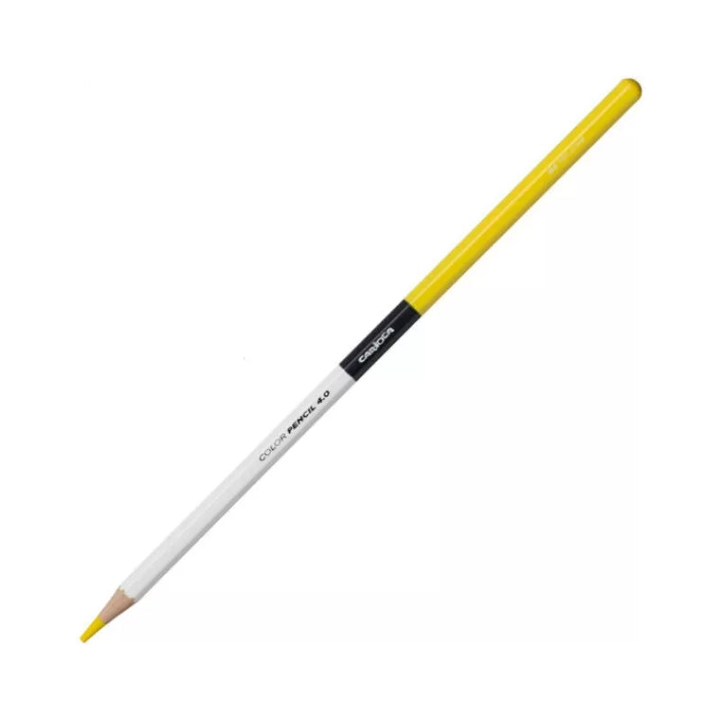 Pastello Color Pencil 4.0 - Carioca Plus