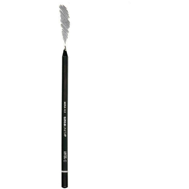 Pastelli Tinta Unita Multicolor Mina 4.2 singoli