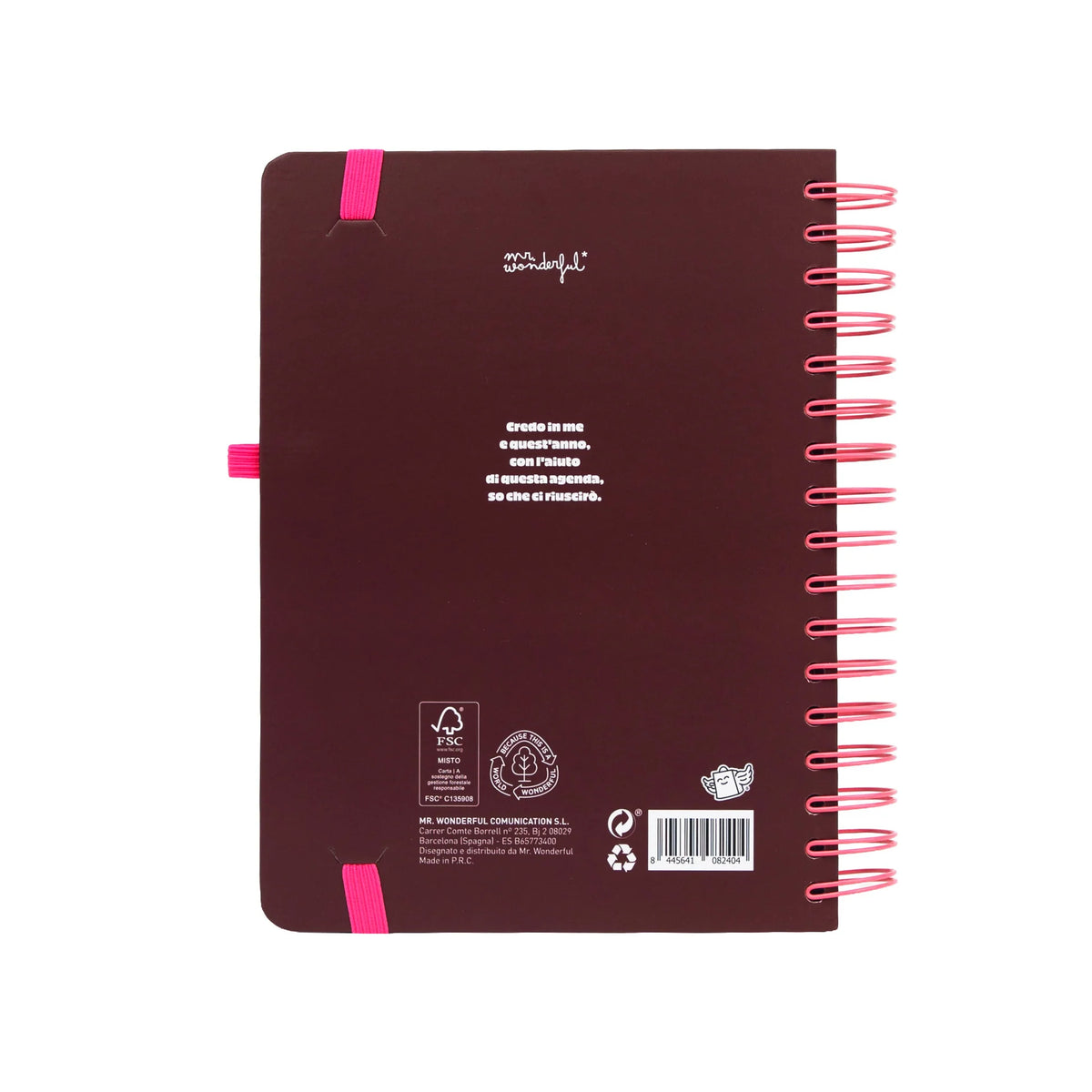 Agenda Giornaliera 2027 - Full aesthetic - Mr Wonderful