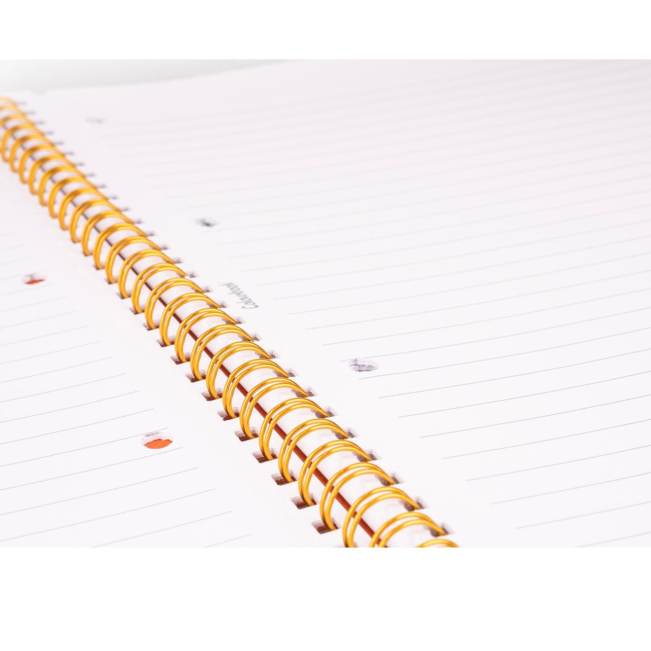 Quaderno a spirale Live Green COLOURBOOK
