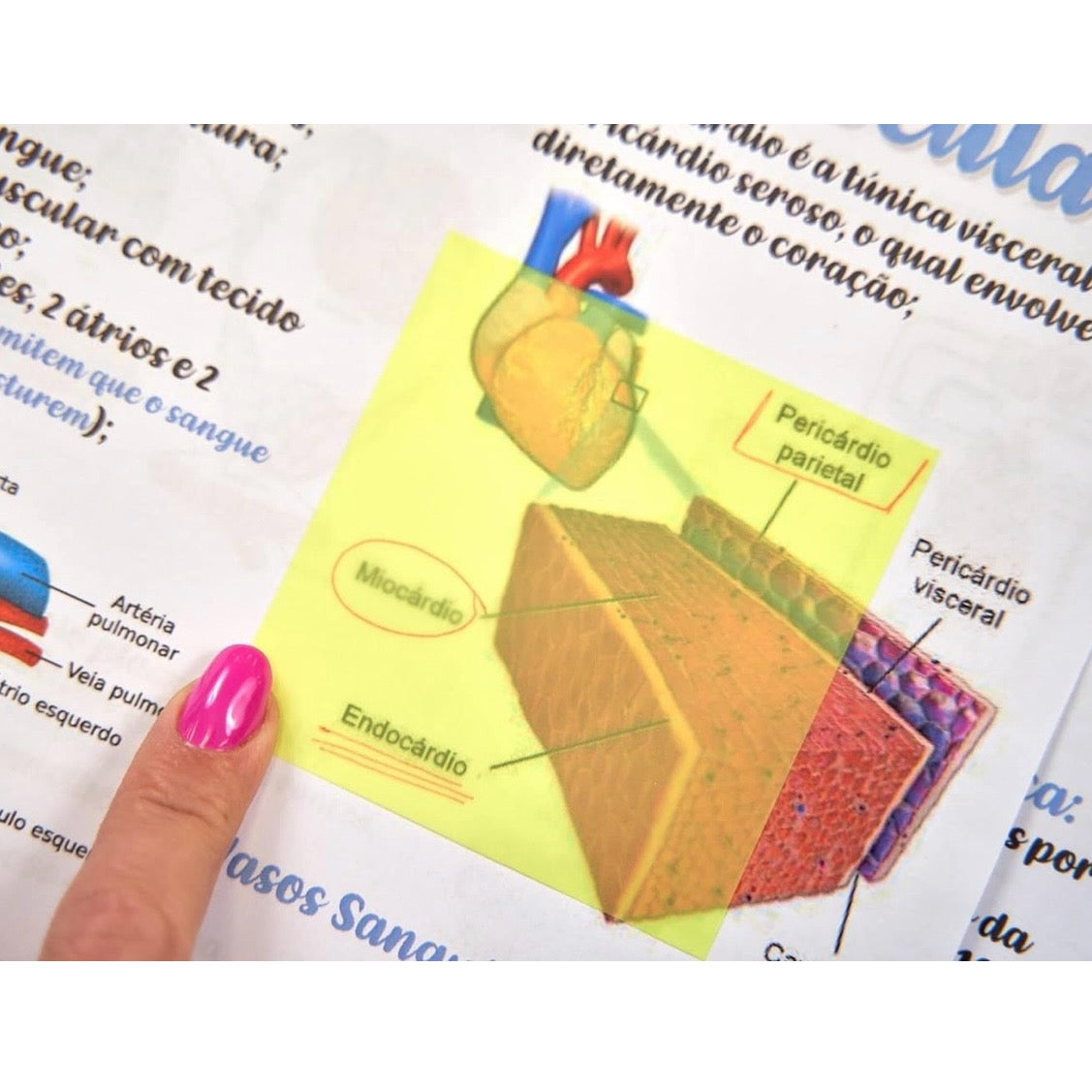 Blocchi Trasparenti Memotak