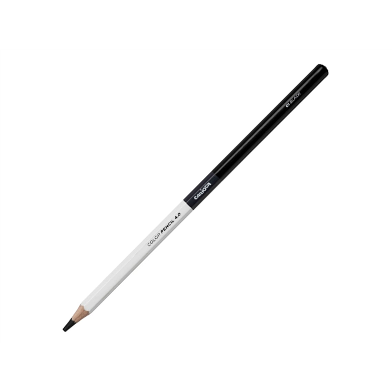 Pastello Color Pencil 4.0 - Carioca Plus