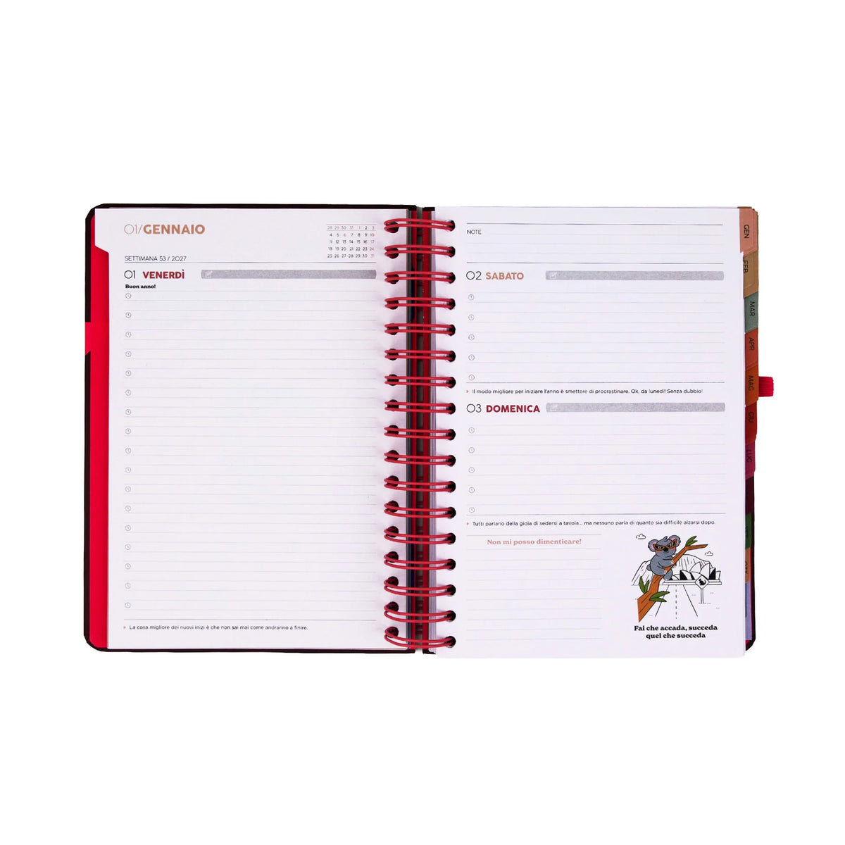 Agenda Giornaliera 2027 - Full aesthetic - Mr Wonderful