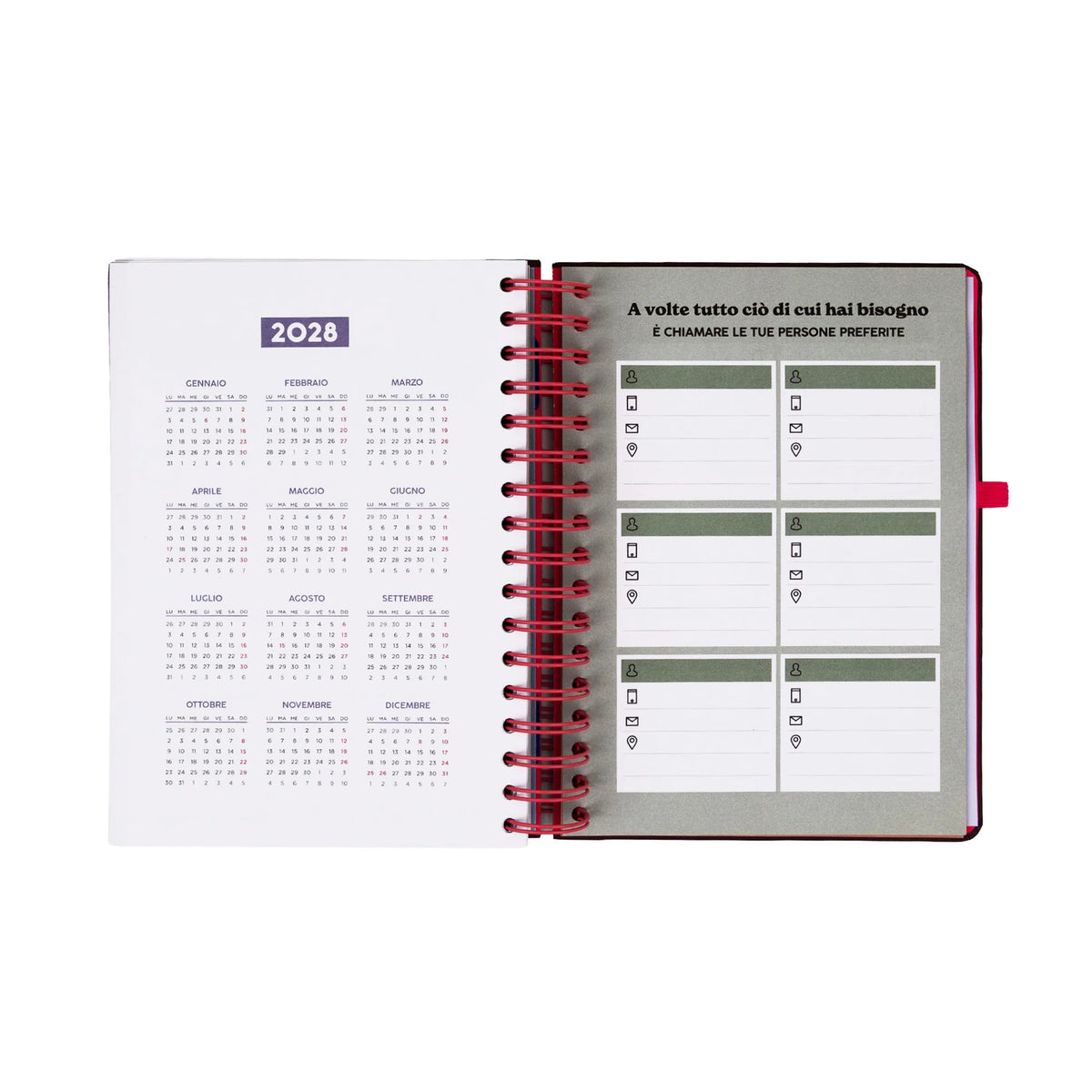 Agenda Settimanale piccola - 2027 Full Aesthetic - Mr Wonderful