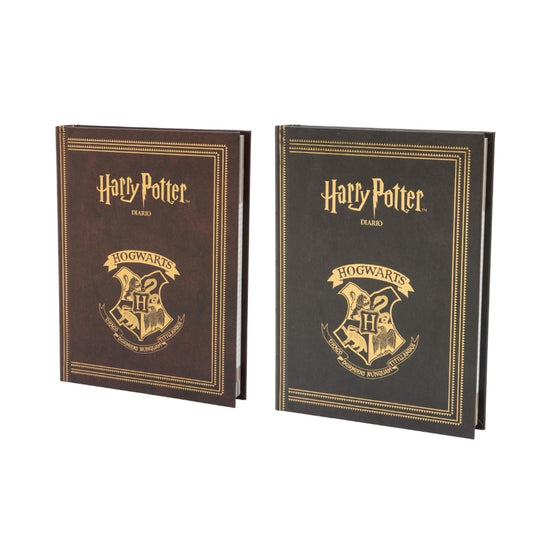 Diario Harry Potter - 10 mesi