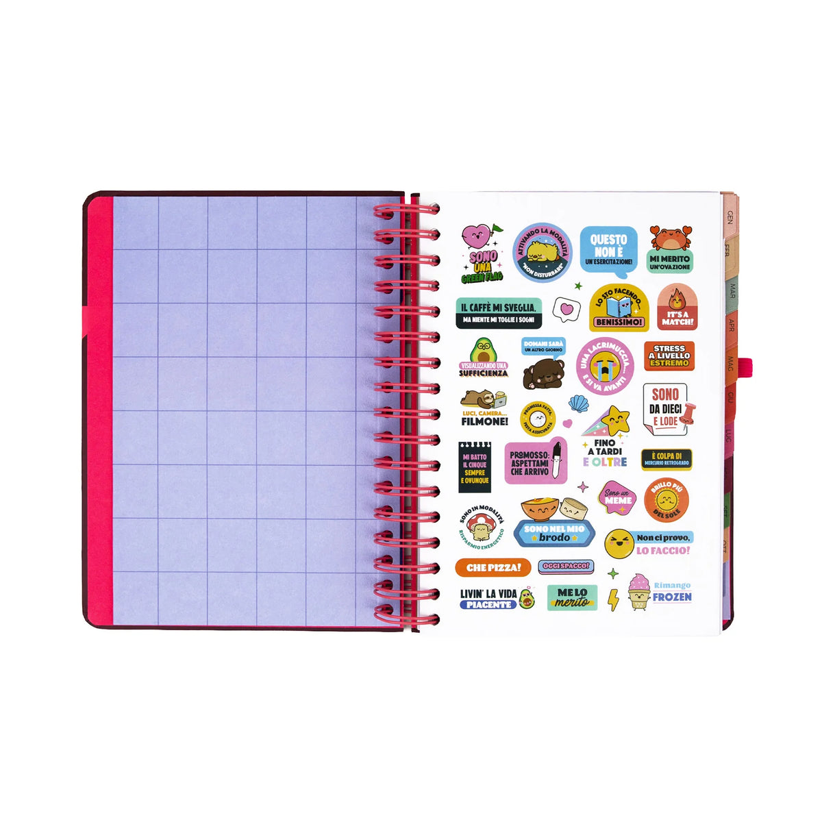 Agenda Giornaliera 2027 - Full aesthetic - Mr Wonderful