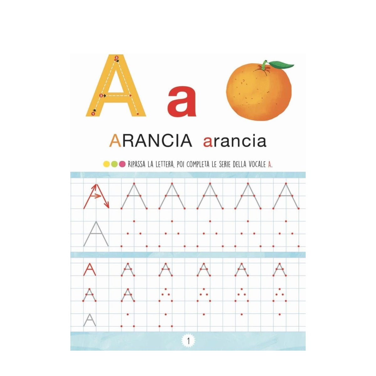 Libro Scrivi e Cancella - Roberta Fanti