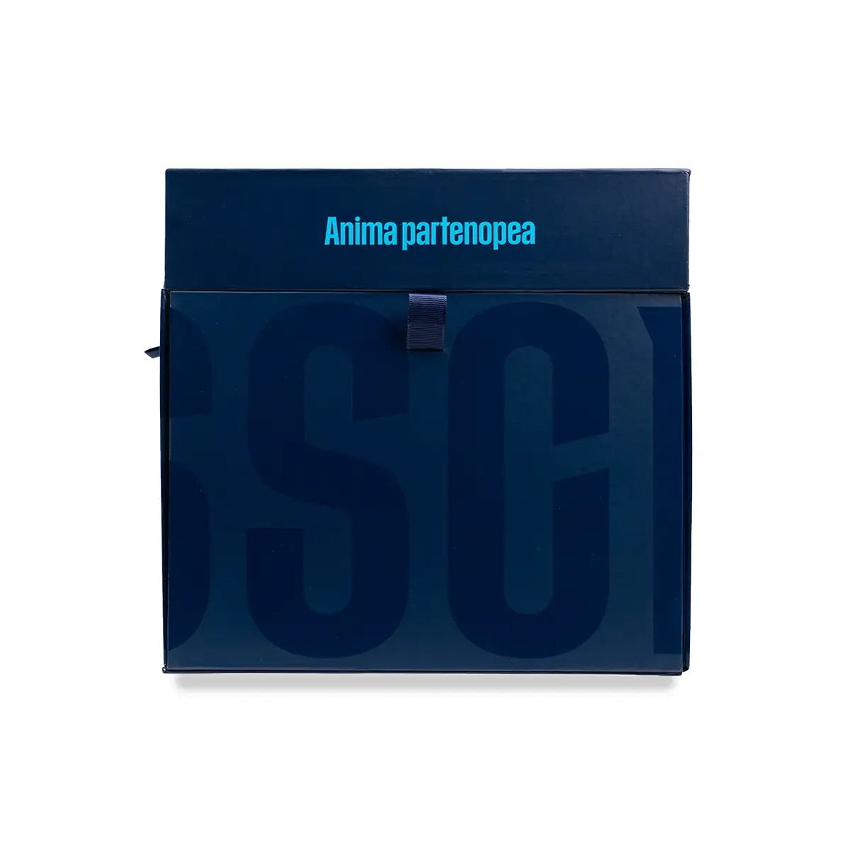 Calendario dell’Avvento 2026 SSC Napoli