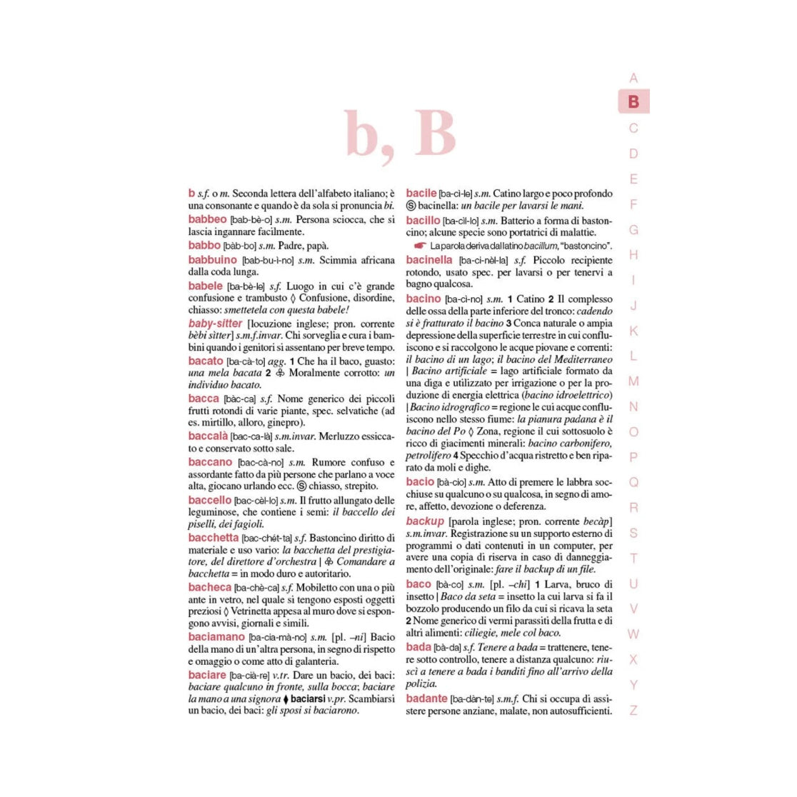 Il mio Primo Dizionario Miot